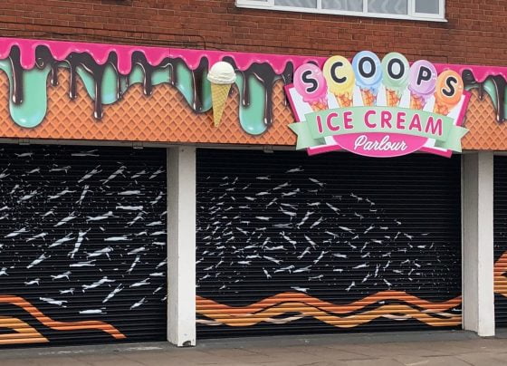 What's next for Cleethorpes' public art?