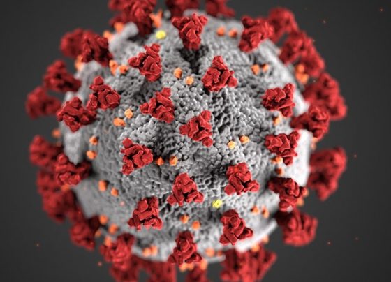 Government urged to share more coronavirus data