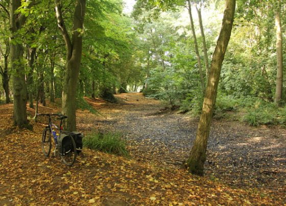 Girl assaulted in Hartsholme Park