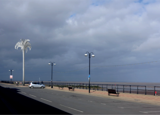 White Palm will ‘add vibrancy’ to North Prom