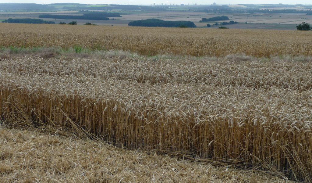 Make the most of Tuesday! weather