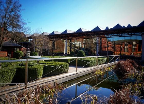 Hull attractions announce plans for reopening