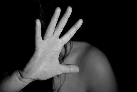 Domestic violence Humberside Police