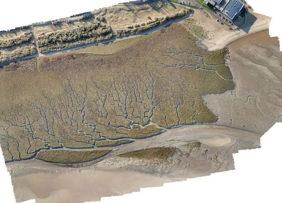 Cleethorpes salt-marsh