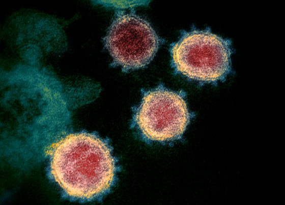 Paramedic from Hertfordshire tests positive for Coronavirus