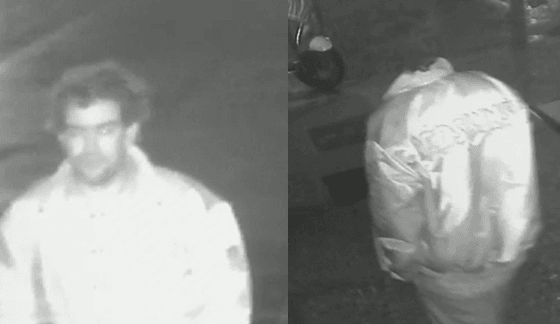 Search for culprit after Watford shopfronts are vandalised