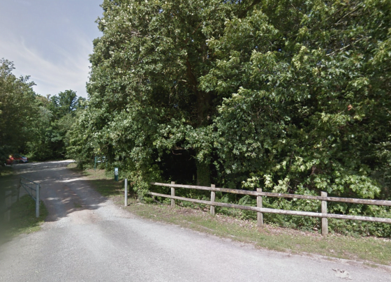 Police at Havant Thicket after body found in Louise Smith case