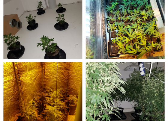 Police in Doncaster discover £200K drugs set up