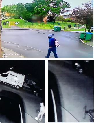 Witness appeal after series of criminal damage incidents