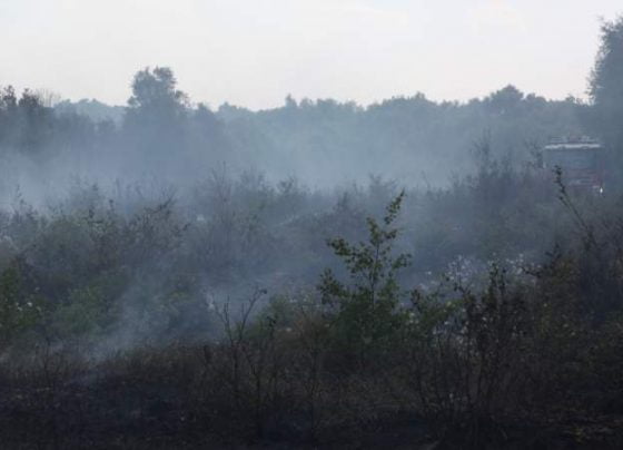Update on Hatfield Moor fire after 11 days