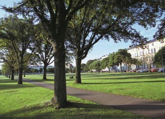 Covid-19 fears over travellers on Southsea Common