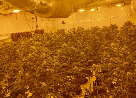 Huge drug bust in Beverley Road