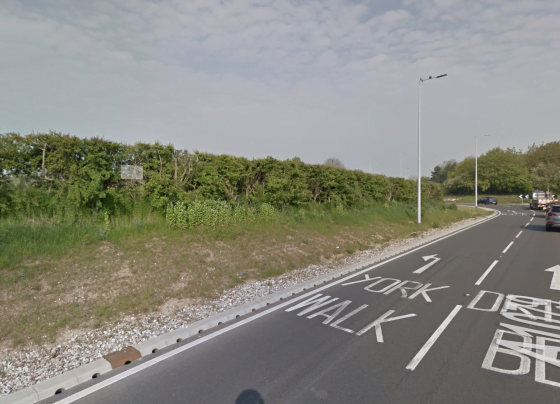 Hull woman killed in fatal collision