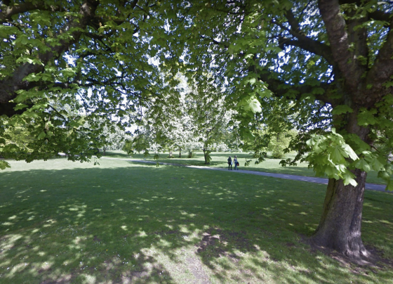 Rape in Pearson Park