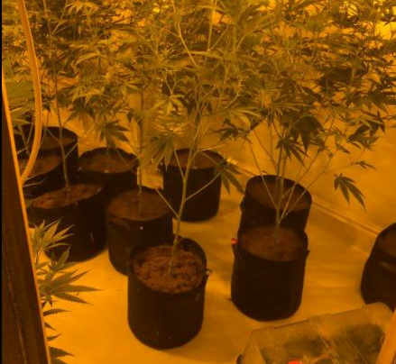 Dramatic morning drugs raid in Doncaster