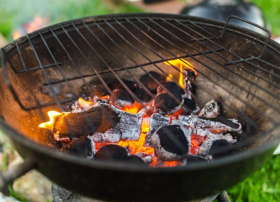 Park fires fear sparks BBQ warning