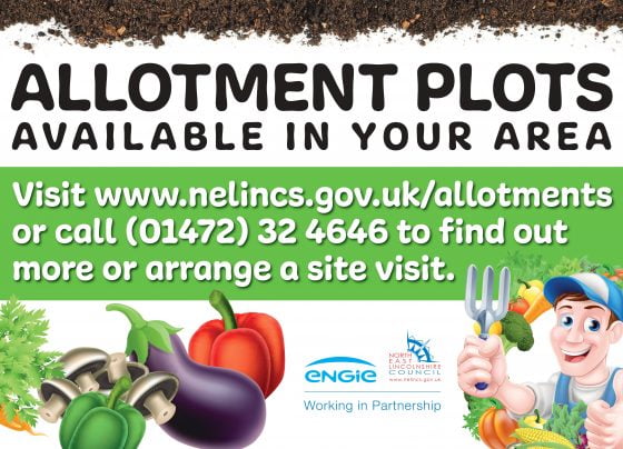 Lockdown prompts rush for allotments in North East Lincolnshire