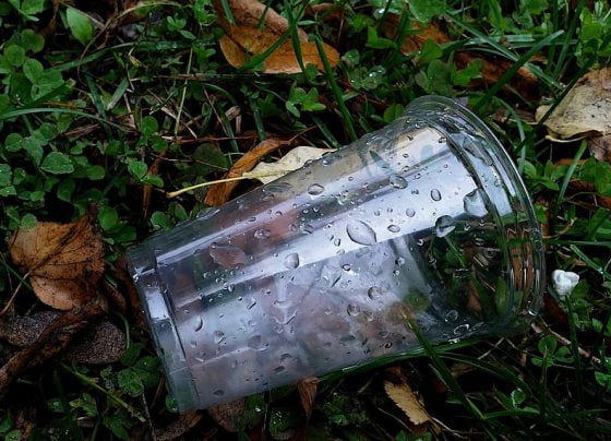 Big fines for litter dropping