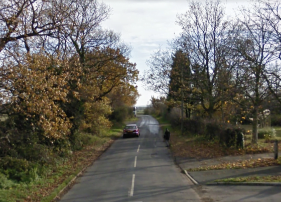 Local woman in hit-and-run