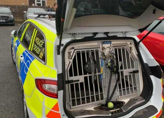 Crackdown on Swindon gang crime leads to arrests