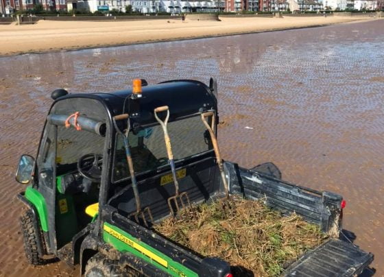 Action taken over saltmarsh on resort beach