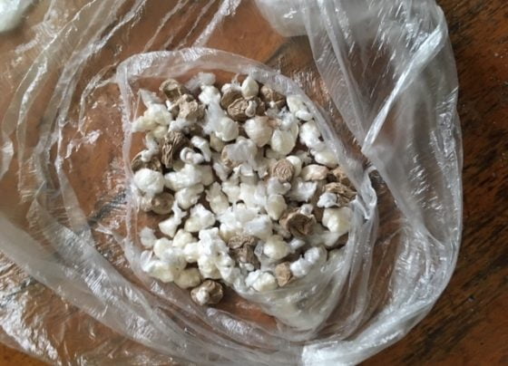 Class A drugs haul seized in Grimsby