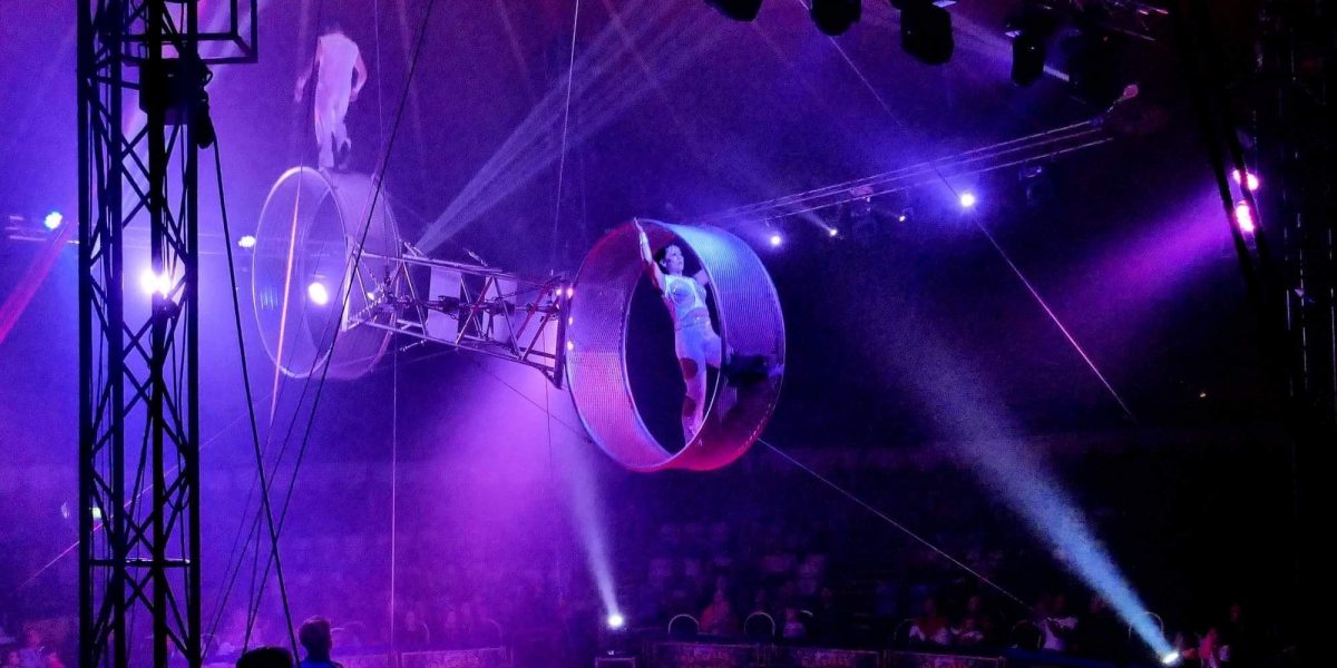 Circus back in town