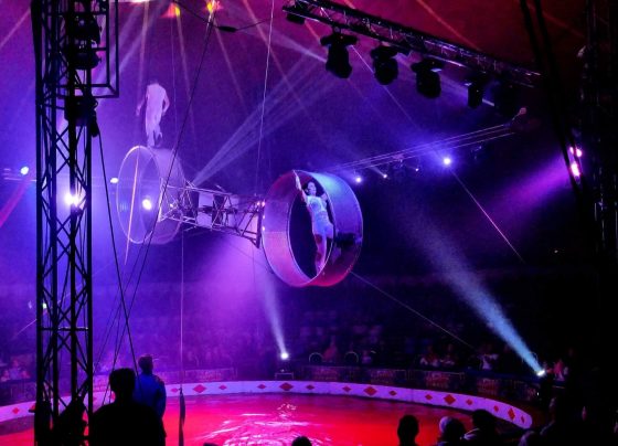 Circus back in town