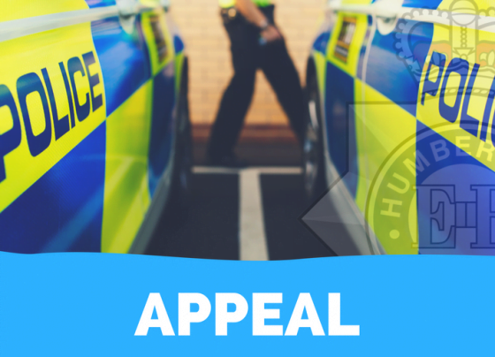 Driver dies after car crashes off the M180