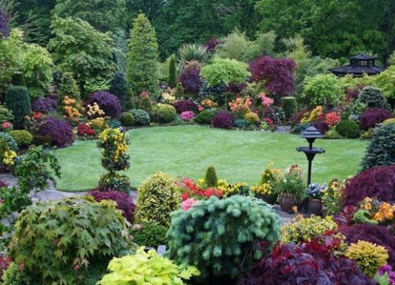 Work to commence on Covid-19 memorial garden