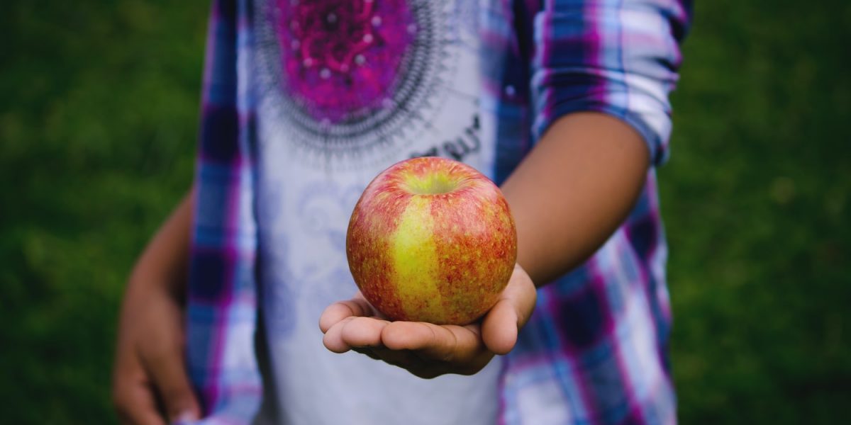 Why local MPs voted for or against free school meals