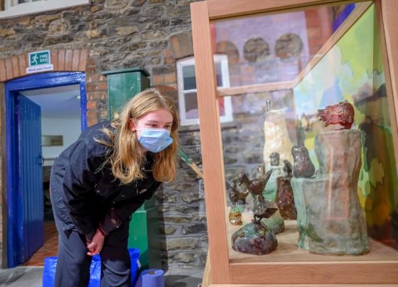 Artists fly high with Scunthorpe bird installation