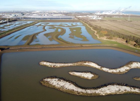 Essential work carried out at the Cress Marsh