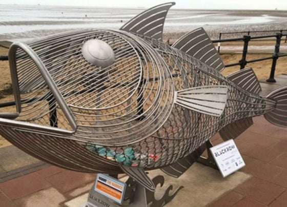 'Hammy the Haddock' to keep the beach clean in Buster's memory
