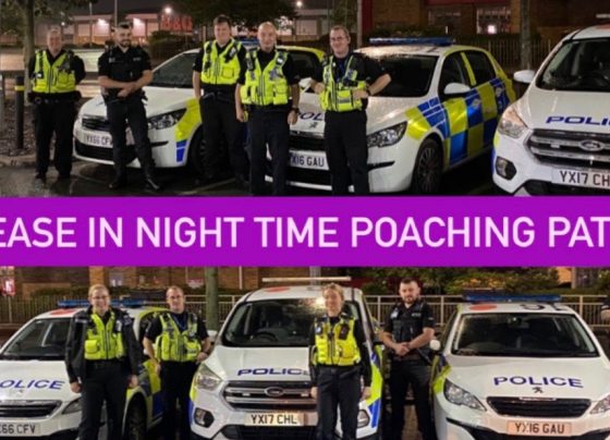 Extra police hunt poachers