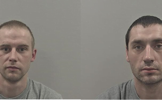 Cannabis crime gang pleads guilty