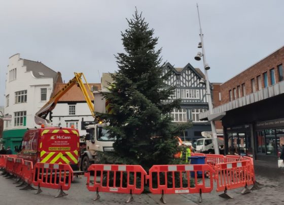 Christmas tree grimsby