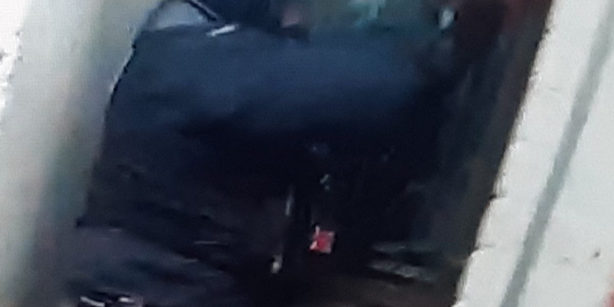 36 people arrested in bumper Operation Galaxy week