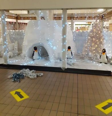 Penguin thief targets Grimsby market