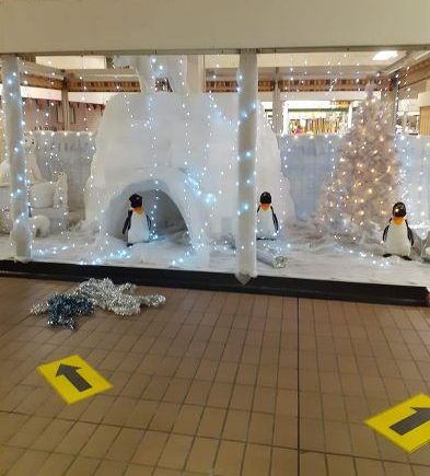 Penguin thief targets Grimsby market