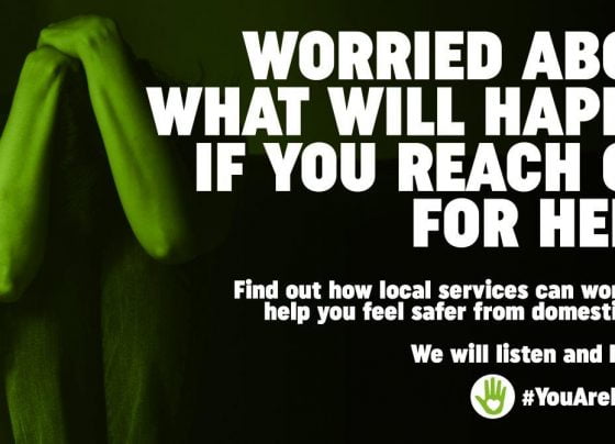 humberside police domestic violence