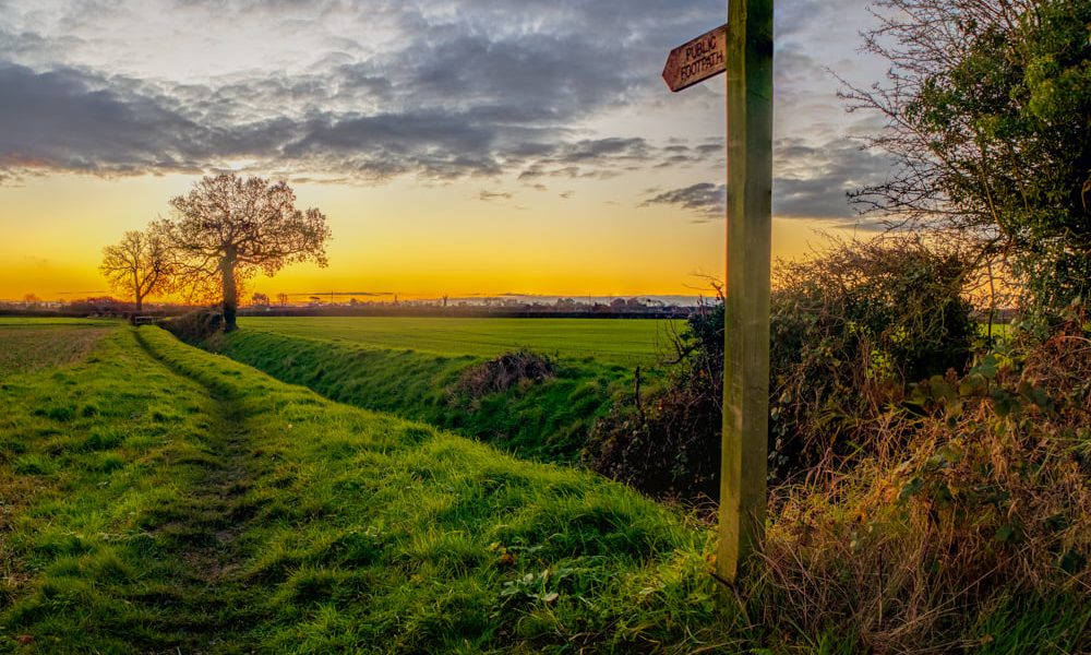 Waltham Dawn by Landscapes of Lincolnshire