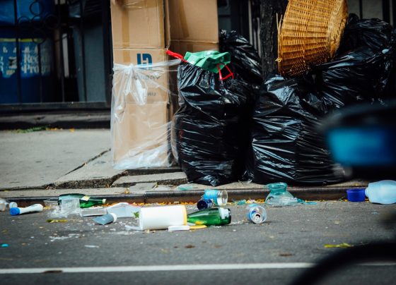 Litterbugs and dog owners fined for messing up the borough