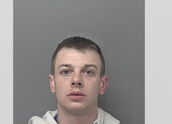 'Reckless' driver handed 30 week sentence