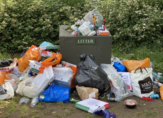 Hundreds in court over council fines
