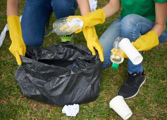 North East Lincolnshire Council new litter strategy