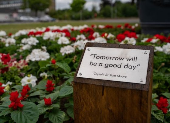 North Lincolnshire celebrates Armed Forces Day