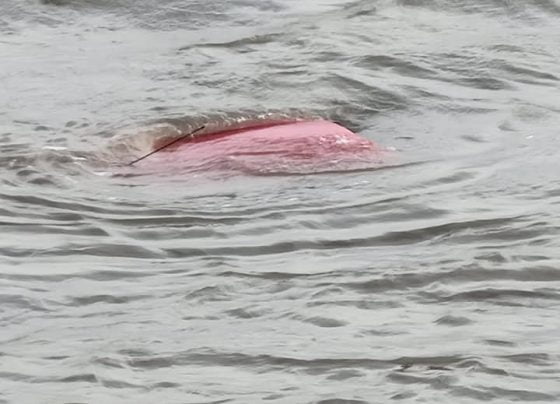 Coastguard called after vehicle enters Humber Estuary
