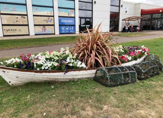 Flowers planted across North East Lincolnshire