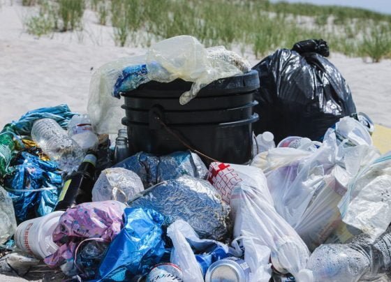 Great British Beach Clean